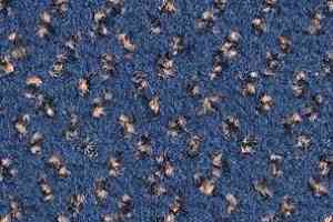 Ковролин Balsan Impression Roll 192 фото  | FLOORDEALER